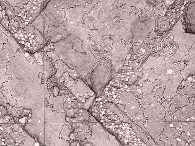 Orthobild mit Höhenkurven überlagert